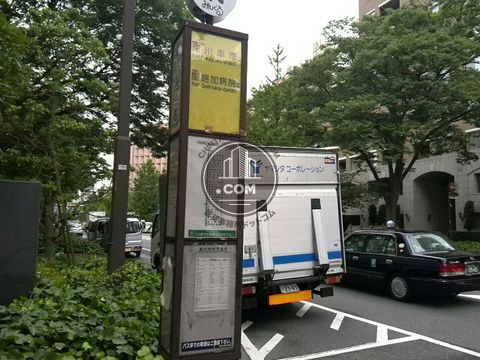大通り