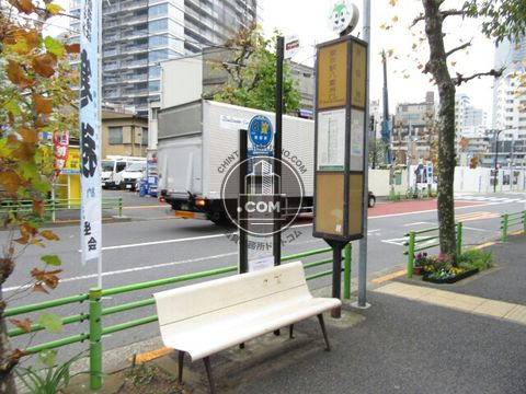 大通り