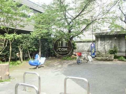 裏路地