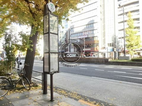 大通り