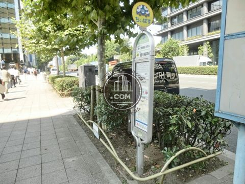 大通り