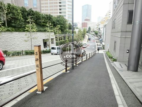 大通り