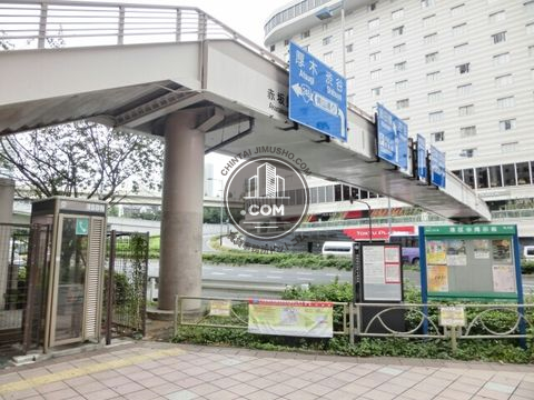 大通り