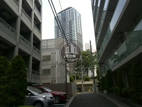 裏路地
