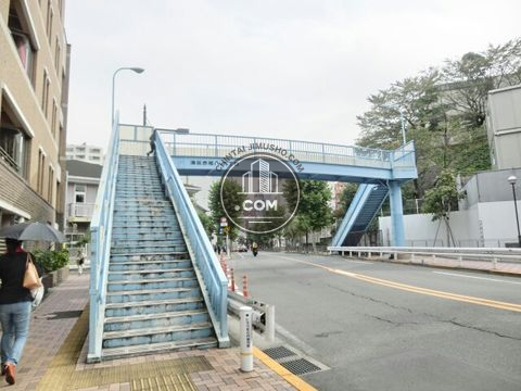 大通り