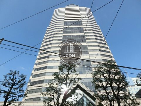 大通り