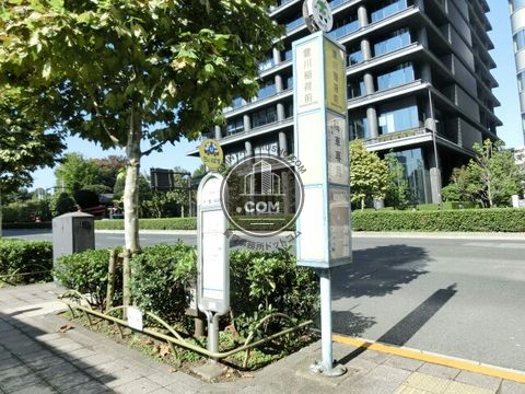大通り