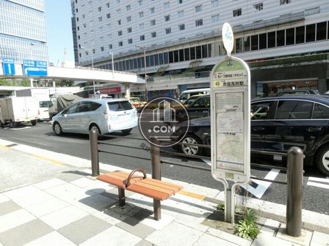 大通り