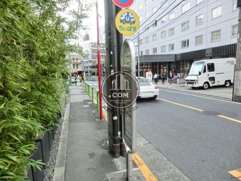 大通り
