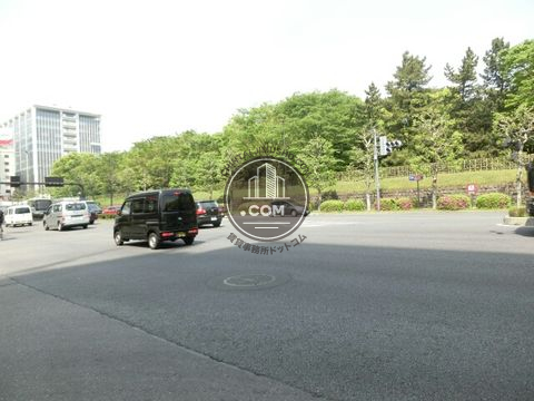 大通り