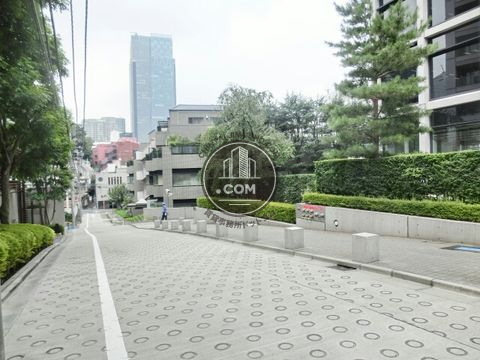 裏路地