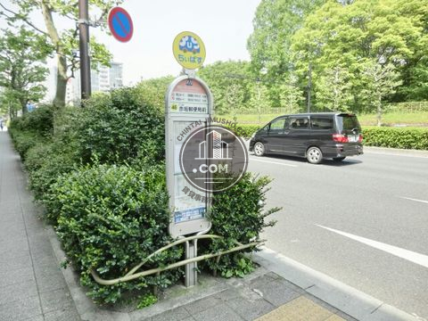 大通り