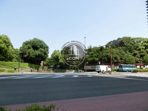 大通り
