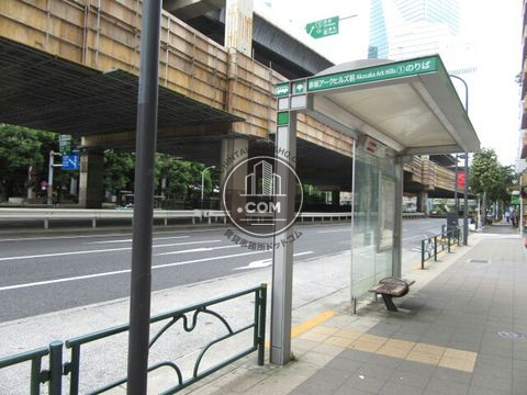 大通り