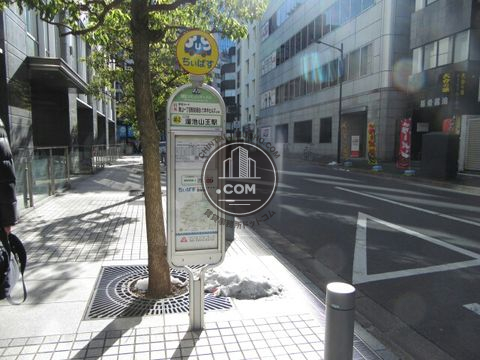 大通り