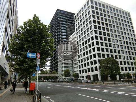 大通り