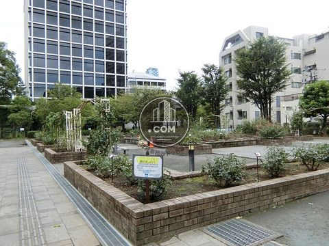 裏路地