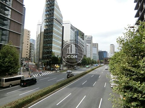 大通り