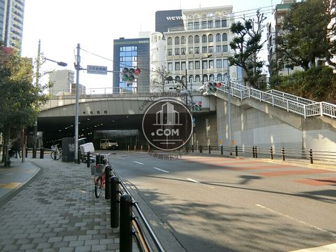 大通り