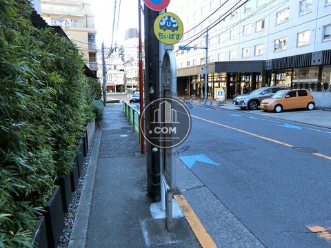 大通り