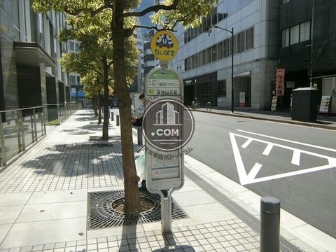 大通り