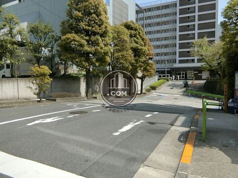 裏路地