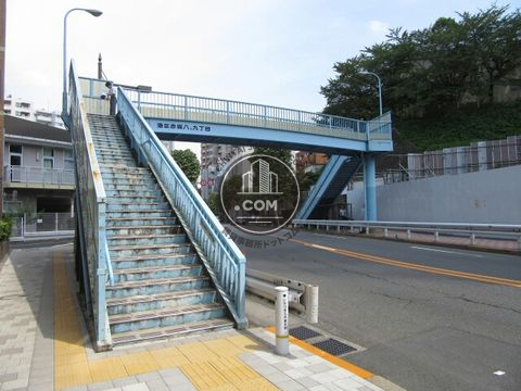 大通り