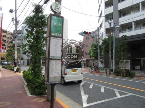 大通り