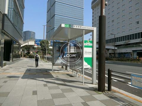 大通り