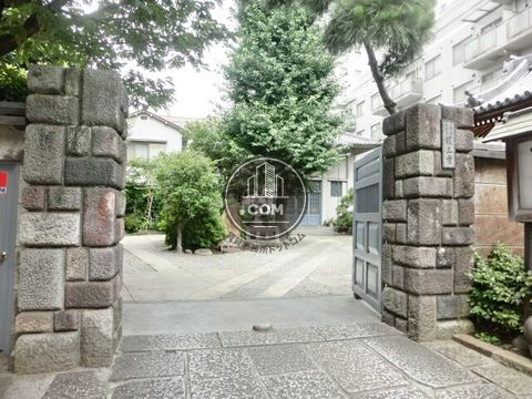 大通り