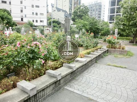 大通り
