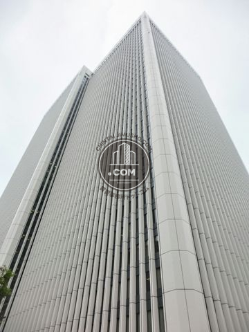 大通り