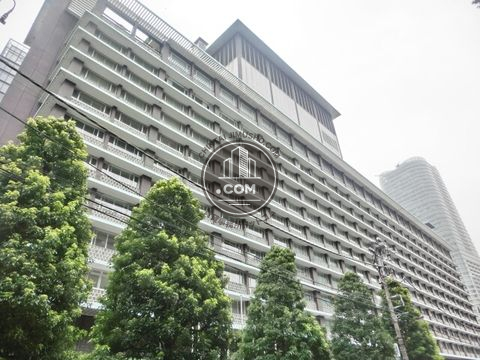 大通り