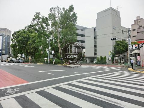 大通り