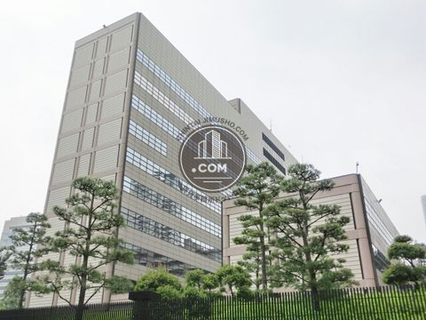 大通り