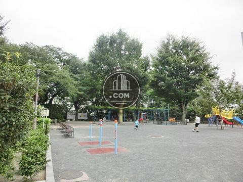 大通り