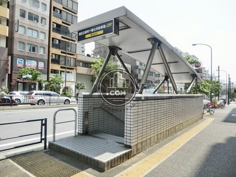 大通り