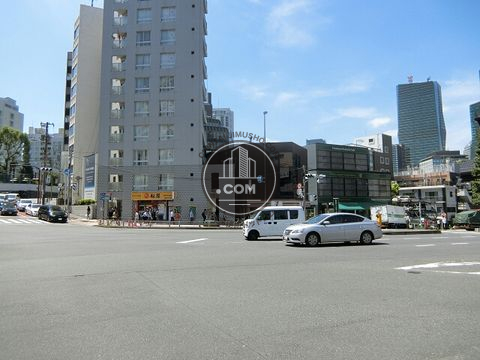 大通り