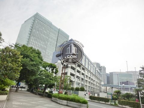 大通り