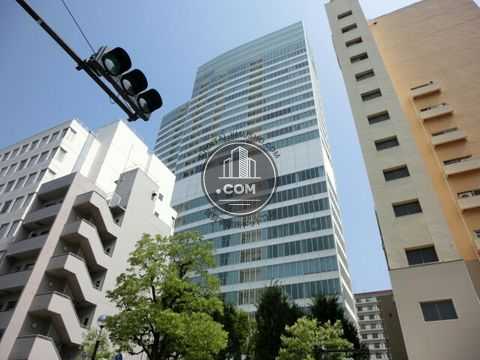 大通り
