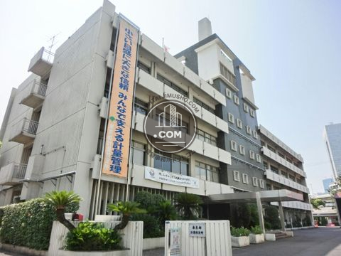 大通り