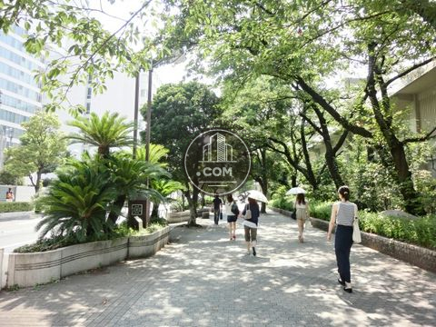 大通り