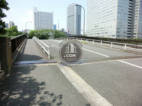 大通り