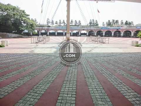 大通り