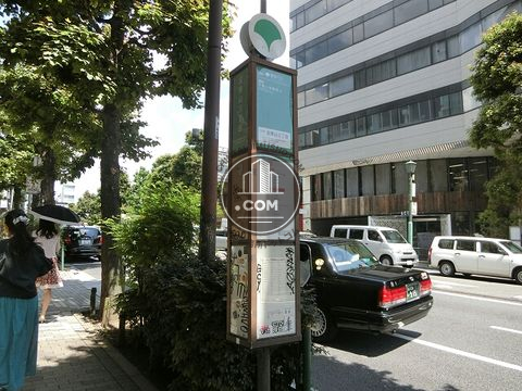 大通り