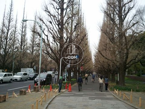大通り