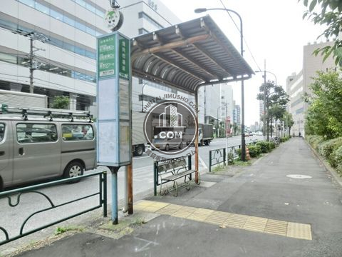 大通り