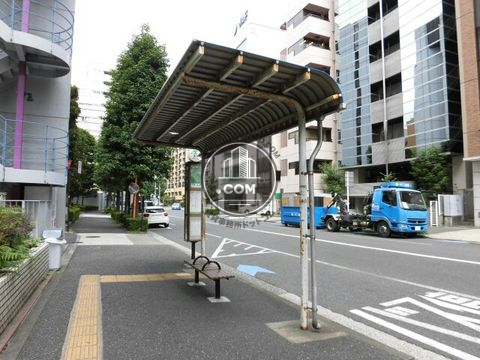 大通り