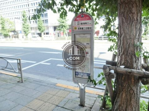 大通り