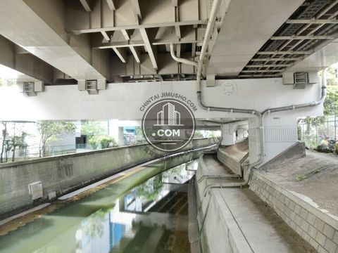 大通り